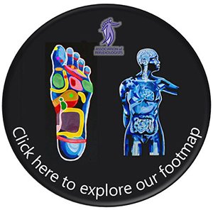 Foot Reflexology Map