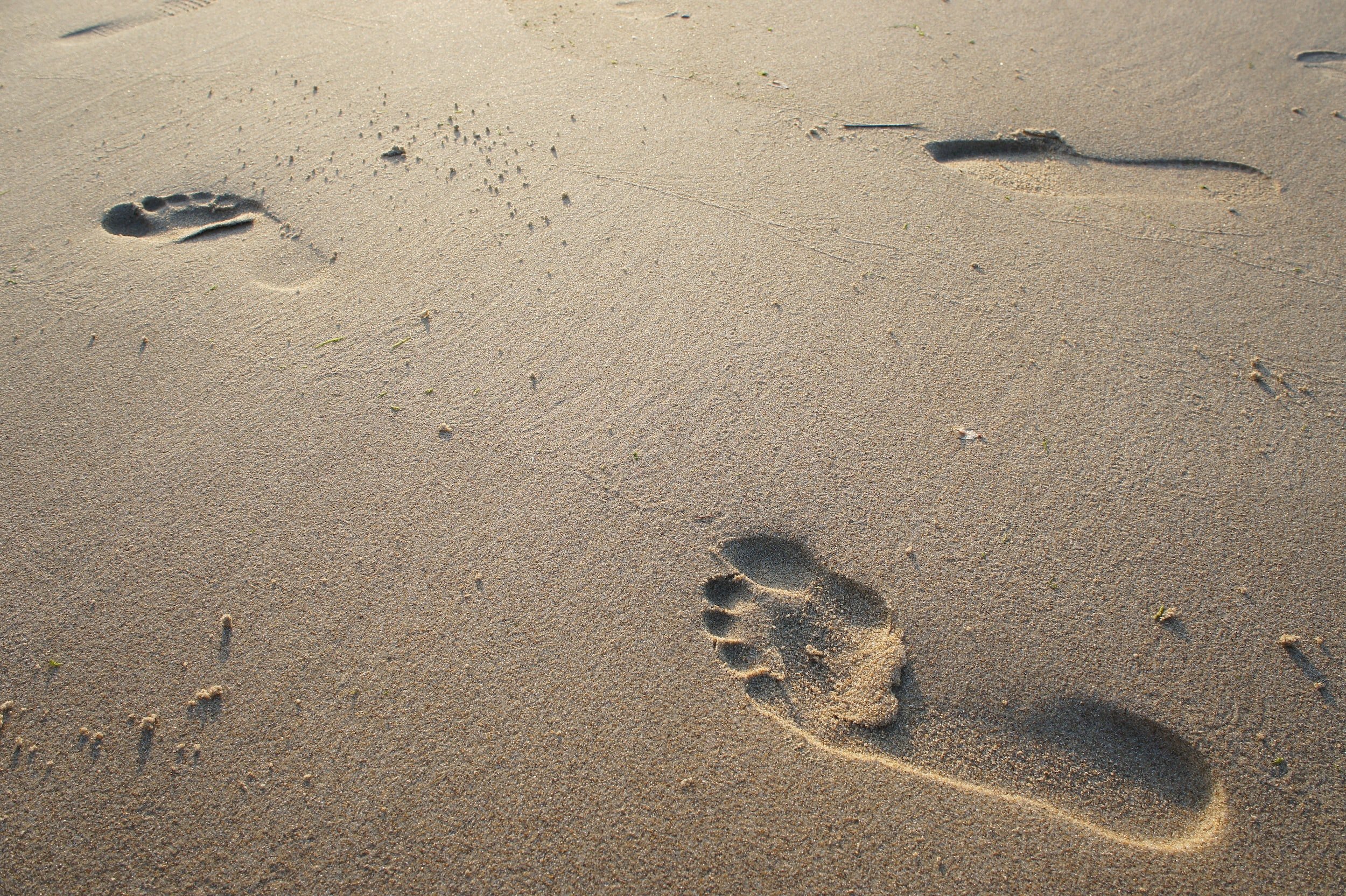 Footprints in the sand